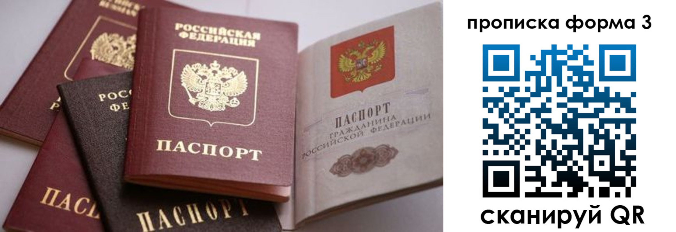прописка для школы в Аксае